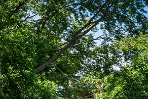 Courtyard 4 Property Image